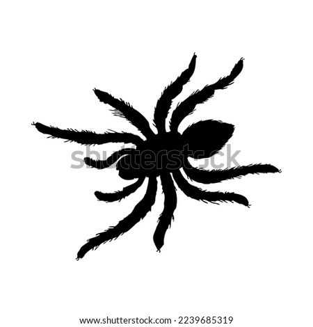 Silhouette of spider. Spider close-up detailed. Vector spider icon on white background.