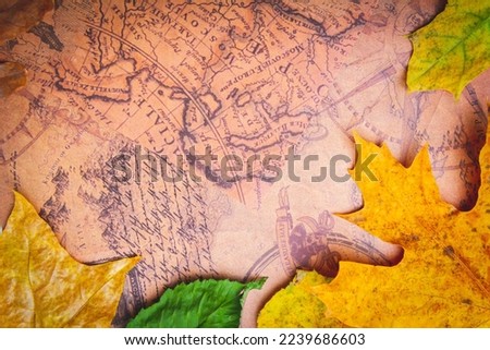 Traveler's map in autumn leaves. Travel in autumn. Vintage map and leaves.