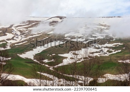 spring, mountains, awakenings in nature on subalpine meadows, remnants of snow cover.