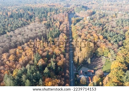 Drone pictures of the Zeisterbos  forest in autumn of Nationalpark Utrechtse Heuvelrug!
