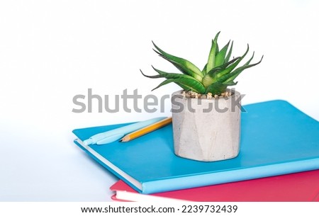 Notebooks and office plant on a white background close-up.