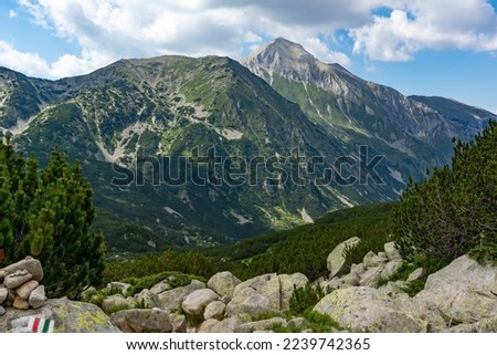 Amazing Summer view of Pirin Mountain near Banderitsa River, Bulgaria