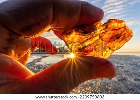 male hand holds recently found amber against the sun Royalty-Free Stock Photo #2239750603