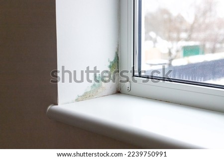 Slope near the window fungus moisture. Selective focus. Home. Royalty-Free Stock Photo #2239750991