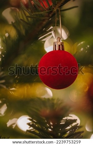 Bright red, velvet christmas bauble hanging in a tree with lights