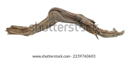 piece of wood from the forest Royalty-Free Stock Photo #2239760603