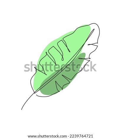 One single line drawing botanical banana leaf vector illustration. Tropical leaves minimalistic style, floral pattern concept for poster, wall decor print. Modern continuous line graphic draw design