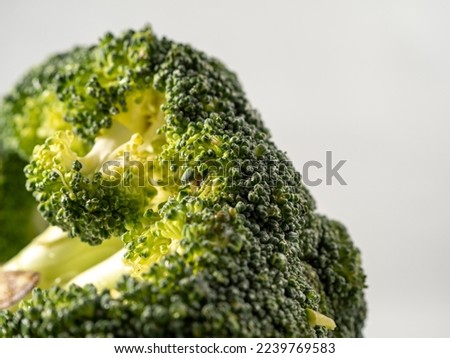 Broccoli on a white background. Head of broccoli. Close-up.