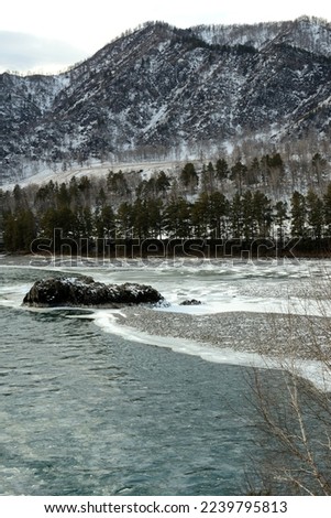 A huge stone in the middle of a melted river bed surrounded by snow-capped mountains on a winter morning. Katun river, Altai, Siberia, Russia.