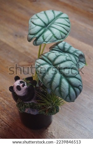 A toy panda lies under a flower