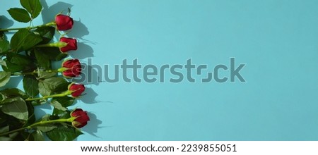 Valentines day background, Festivecard with red roses. Place fo text Royalty-Free Stock Photo #2239855051