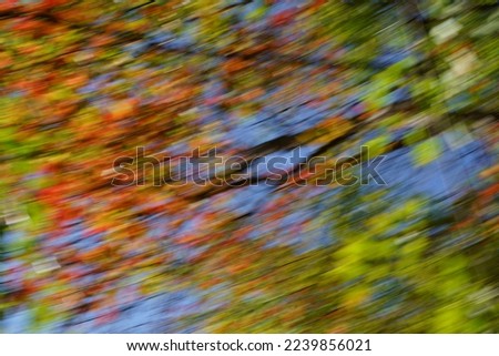 Autumnal colors are moving -- ICM photography 