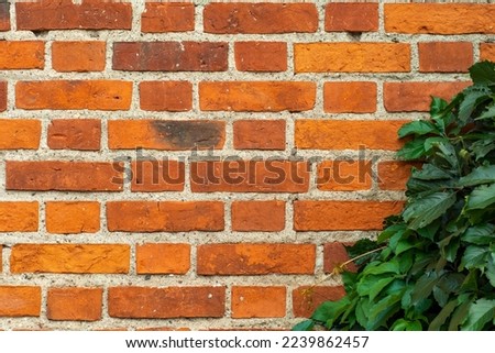 Background with a close-up of a neat brick wall with green bushes in the corner. Template with empty space for text.
