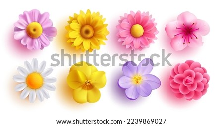 Spring flowers set vector design. Spring flower collection like daffodil, sun flower, crocus, daisy, peony and chrysanthemum fresh and blooming elements isolated in white background. Vector  Royalty-Free Stock Photo #2239869027