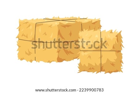 Hay bale, gold wheat stack tied with twine. Golden straw, dry glass bundle, agriculture harvest squeezed in rectangle and square shapes. Flat cartoon vector illustration isolated on white background Royalty-Free Stock Photo #2239900783