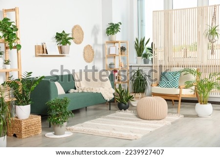 Living room interior with beautiful different potted green plants and furniture. House decor Royalty-Free Stock Photo #2239927407