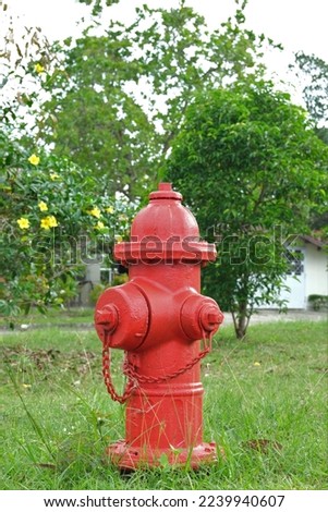 Red fire hydrant on a lawn,  House and tree in the back. Alat pemadam kebakaran
