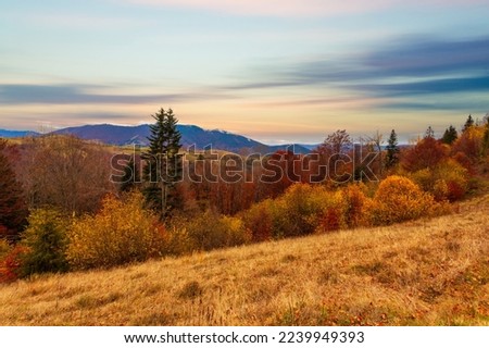 Carpathians, Ukraine. Sunset in the cloudy sky over the autumn forest lake. View from shore level, image in orange-yellow tint. High quality photo