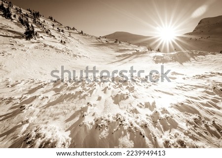 Snow covered fir trees on the background of mountain peaks. Panoramic view of the picturesque snowy winter landscape. . High quality photo Royalty-Free Stock Photo #2239949413