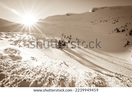Snow covered fir trees on the background of mountain peaks. Panoramic view of the picturesque snowy winter landscape. . High quality photo Royalty-Free Stock Photo #2239949459