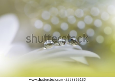 Beautiful Macro Photo.Colorful Flowers.Art Design.Magic Light.Close up Photography.Conceptual Abstract Image.Yellow Background.Fantasy Floral Art.Creative Wallpaper.Beautiful Nature Background.Drops.