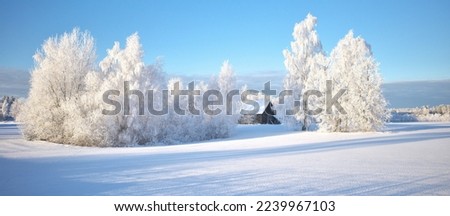 The trees are covered with white frost. Frosty sunny weather. Beautiful winter landscape. Panoramic photography. Latvian landscape.