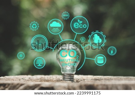 ECO icon concept in hand-held bulb for environmental, social and governance in sustainable and ethical business on network connection. icon on a light bulb with a growing tree