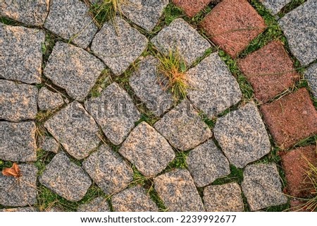 Background of gray small paving stones with sprouted grass between the stones, top view of the path refreshed by the sun. idea for background or wallpaper.