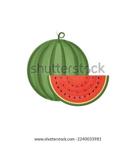 watermelon watercolor vector illustration, clip art design watercolor