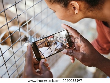 Animal shelter, phone and dog photo in cage with man and woman volunteer doing charity for homeless pet to report puppy abuse. Couple with sad pet picture on screen for social media vet animals