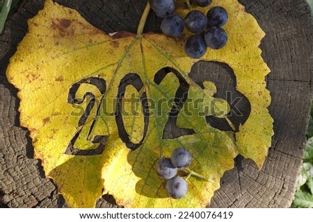 2023 year cut out from vine leaf with with a few black grapes. 2023 year forecast in agriculture, viticulture Royalty-Free Stock Photo #2240076419