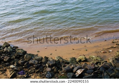 Small rocks  on the shore  of a lake, Ponnani India