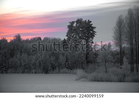 winter landscape with bright sunset sky and frosted trees