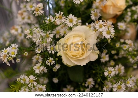a collection of fresh flowers with various colors that are very beautiful soothe the eye which can be used as a picture requirement in various industries that require it
