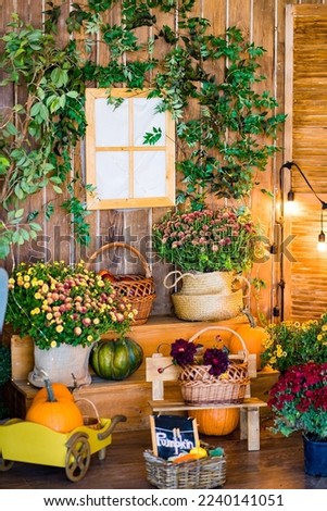 autumn background for a photo shoot in a photo studio. traditional autumn decor, bouquets, artificial plants and pumpkins.