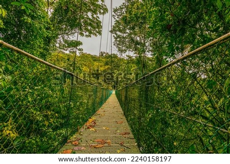 Suspension bridge and nature of Sky Adventures Arenal Park, La Fortuna, Costa Rica. Central America Royalty-Free Stock Photo #2240158197