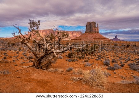 Monument Valley Navajo Tribal Park photos on a road trip Royalty-Free Stock Photo #2240228653