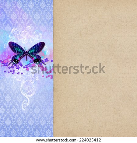 Vintage shabby chic background with butterfly 