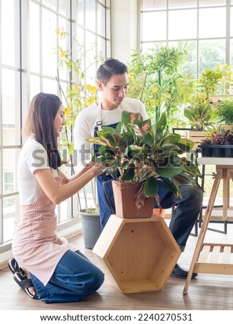 Gardener young Asian man woman two person stand and sit wooden floor smiling looking hand holding help decorate tree leaf green in calm work shop home plant white wall. hobby job happy and care concep