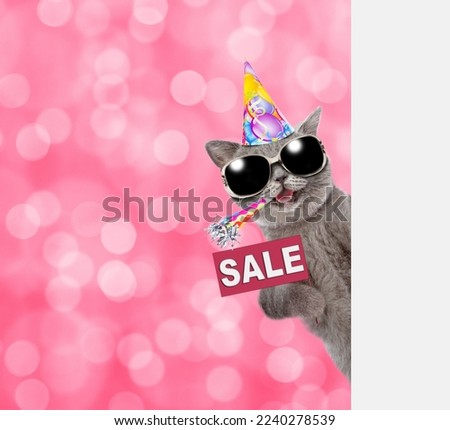 Happy cat wearing birthday cap shows signboard with labeled "sale" and looks from  behind empty white banne.  Shade trendy color of the year 2023 - Viva Magenta background. Empty space for text