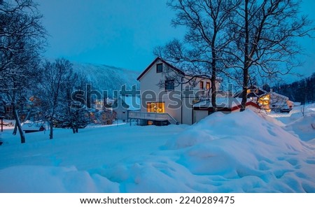 Beautiful winter landscape with white house and dry tree at dusk - Arctic city of Tromso
