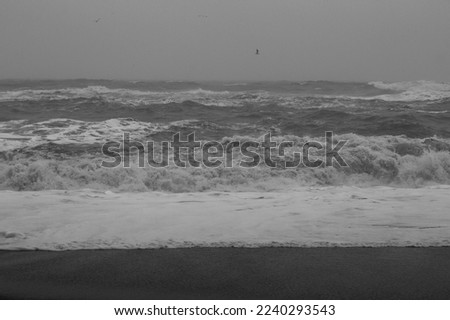 Sea beach on stormy day monochrome landscape photo. Beautiful nature scenery photography with sky on background. Idyllic scene. High quality picture for wallpaper, travel blog, magazine, article