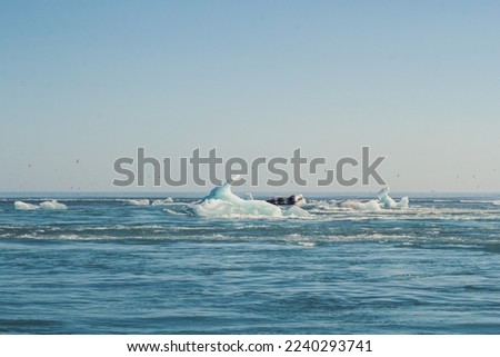 Icebergs floating in sea landscape photo. Beautiful nature scenery photography with clear blue sky on background. Idyllic scene. High quality picture for wallpaper, travel blog, magazine, article