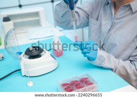 a young female laboratory assistant in a microbiological laboratory examines the resistance of bacteria to antibiotics. inoculation of pathogenic microorganisms Petri dish Royalty-Free Stock Photo #2240296655