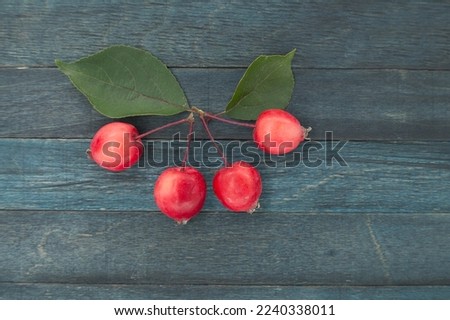 Crabapple or Siberian crab apple (Malus baccata) on blue wooden vintage background, top view with copy space Royalty-Free Stock Photo #2240338011