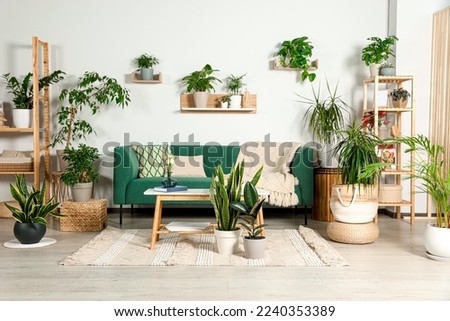 Living room interior with beautiful different potted green plants and furniture. House decor Royalty-Free Stock Photo #2240353389