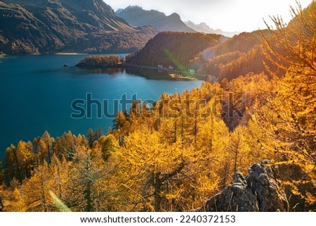 View of small peninsula "Plaun da Lej" in Lake Sils, Switzerland on a sunny day in October. Due to the front lighting, some lens flares are visible. Royalty-Free Stock Photo #2240372153