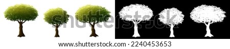 Illustration of three trees isolated on empty background with clipping path and alpha channel for design work and creativity. Digital painting