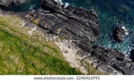 Dense thickets of grass on the shore. Grass-covered rocks on the Atlantic Ocean coast. Nature of Ireland, top view. Aerial photo. View from above.