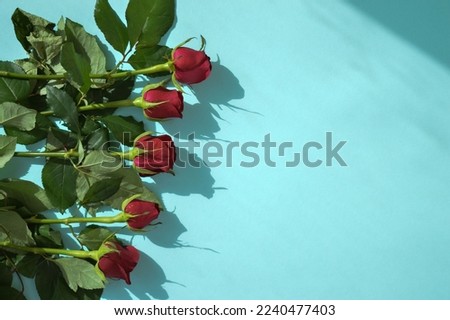 Valentines day background, Festivecard with red roses. Place fo text Royalty-Free Stock Photo #2240477403